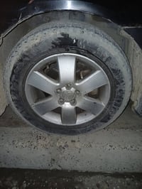 تخم ويل كب مراوس بويل اسود حجم ١٥ والويل كب هم ١٥ مكاني بياع 077163440...