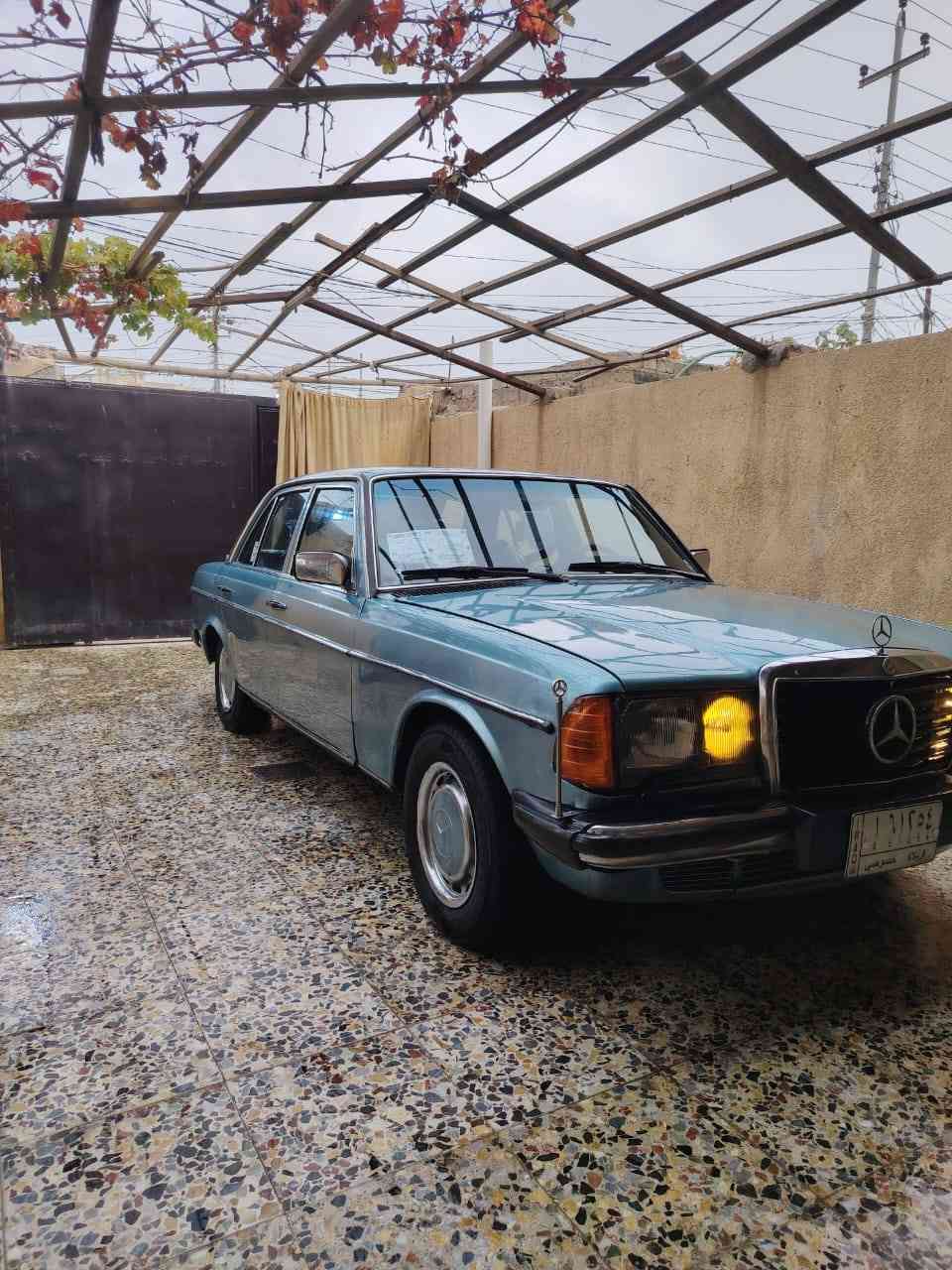 السلام مارسدي ابو جحيل موديل
1985 محرك وكير محور بطه 2500  ديلكو شعلته تخبل سياره  محرك وكير جدد كفاله حداديه خلفيه والاماميه نفض كلا جديد  تخم تاير جديد صارلي سبوع شاده باتري جديد مصبوغه جماليه بدون ظربه ولاخياس قواعد دبلات بلاديه رقم كربلاء سنويه بعده مانافذه  تحويل مباشر  جام جوبي كلا شغال كيجات كله شغاله  داخل جديد نفس صوره واحلا كشنات وبطانين بلاديات جدد سياره جاهزه مجهزه من كلشي  فقط تبريد راديتر نقص سابقا شغال جان   سياره نصبته احلا من صور السعر 42 وبيه مجال مكاني كربلاء  رقم الهاتف ***********
