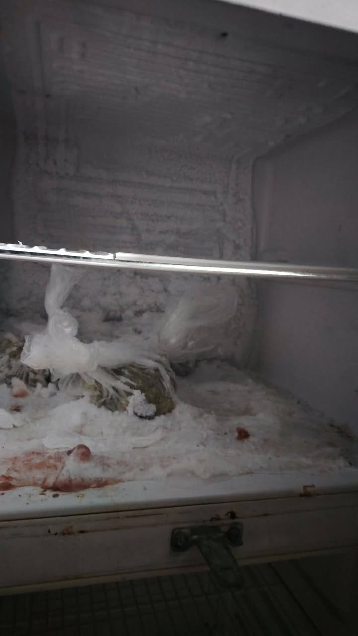 ثلاجه ال حي العربي 18قدم
السعر 150 
العنوان الموصل حي عدن


**إذا كنت صاحب هذا الإعلان وتريد حذفه لأي سبب، رجاءا أرسل رسالة إلى الدعم الفني**