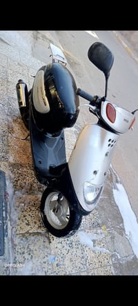 منغولي • جديده • نضافه