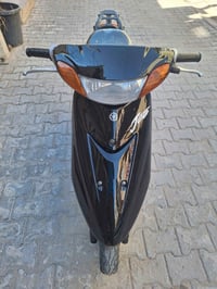 عصفورية • ياباني • ٦٠
