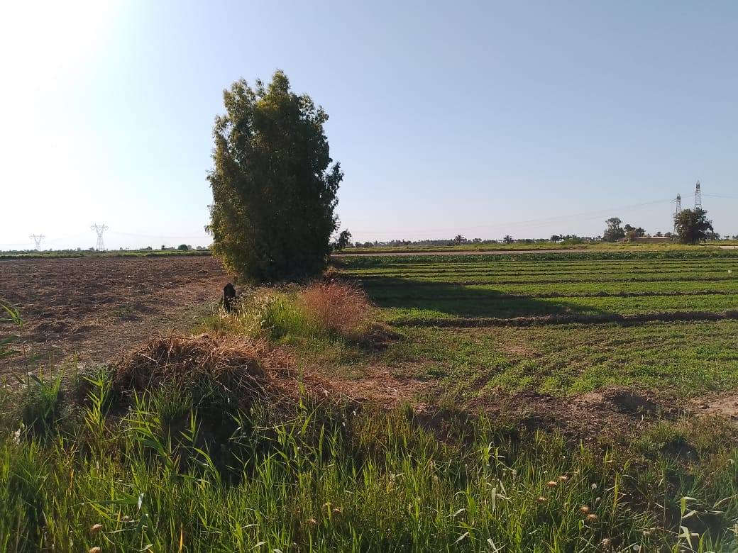 السلام عليكم عندي دوانم للبيع سند25 في اليوسفيه كاملت خدمات مي سقي ومي اساله كهرباء وتبليط اضافه الى جمال الطبيعه السعرمن 35 ال50 حسب المكان اضافة كل 10دونم سند مستقل *********** واتساب
