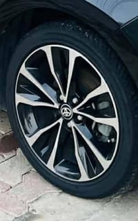 تخم ويل كب للبيع  او مرواس  ويه حديد اصلي  العنوان بغداد /رصافة  07702...