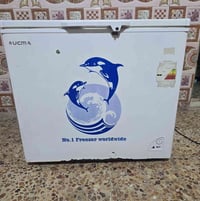 مجمدة ام دولفين • ١٠ قدم • الحبيبية