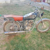 تايكر • موديل 17 • بدون أوراق