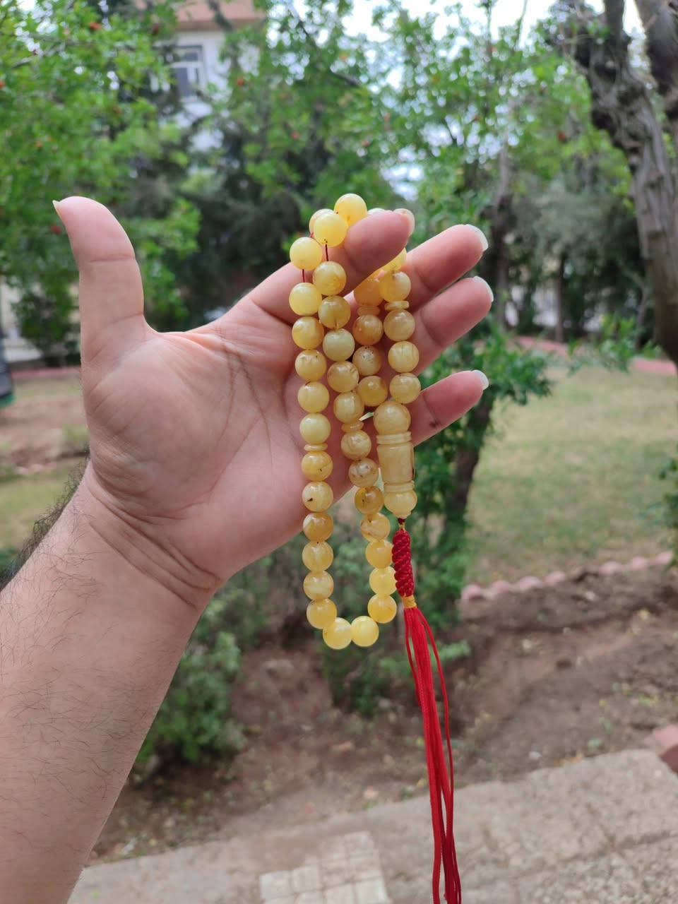 كهرب حر طبيعي شاهد استندر 45 غرام


**إذا كنت صاحب هذا الإعلان وتريد حذفه لأي سبب، رجاءا أرسل رسالة إلى الدعم الفني**