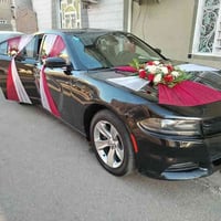 صلاح منصور • تزيين سيارات أعراس • النجف