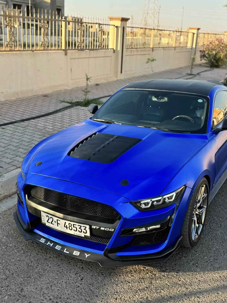 شلون الشباب
للبيع GT 5000 كير عادي🕹️ موديل 2017
السياره ماشيه 38 الف مايل🔴

الاضافات
١-شوته
٢- اكزوز بوابات 
٣-تفريغ+ برمجة
٤-كت شيلبي اصلي جاملغات وبنيد
٥-مازدات ٢٠٢٤
٦-تغليف ppf طافي اصلي وعليه ضمان
٧-بلكات ريسنك+ ولف حماوة 
٨- حلوك صالنصة+دفيوزر شيلبي اصليات
٩-دركة RPM
١٠- ويالة نيش

سنوية السيارة جديدة وباسمي
حادثهة جاملغ وبنيد وجاملغ ثاني محدث بدون اي ضربة دواخلهة مكفولة/كير مكينه اكسل مكفولات من الفتح والخلل السيارة كلش جديدة حتى كلوب بالدشبول مابيهة

عنواني بغداد:حي الجامعة
***********
السعر 145$
