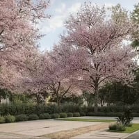 اعلان بالذكاء الاصطناعي للصفحة مع استعراض اكساء وتصميم واجهة   للتواصل...