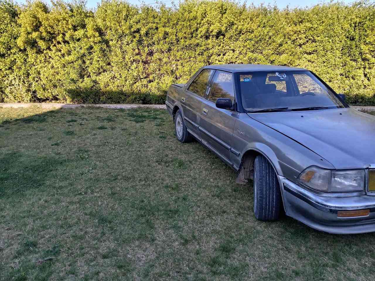 هارتوب موديل 92رقم انبار انكليزي هزه جديده  سياره مكفوله من كص نقل من كل عيب شرعي غرفتهانضيفه سياره بلاديه كير ومحرك 2500ديلكو مكفولات صدرها مقبول تخم تاير نضيف  السياره شاشه كترونيه تحويرت نجف مكانها بغداد الرضوانيه عارصها 35 رقمي ***********
