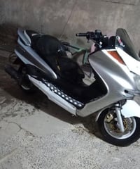ماجستا • دبل • بابل