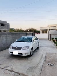 كورولا • ٢٠٠٧ • قطع صبغ