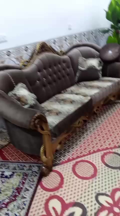 تخم زان تركي ملكي للبيع نظيفه جدا مكانه انتصار الحسينيه بغداد واتساب ***********
