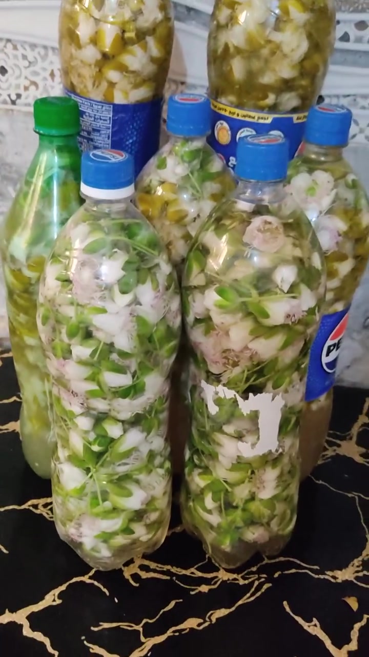 السلام عليكم يوجد لدينا ورد كبر مچبوس جيد وجديد وطعم طيب أن شاءالله للبيع سعر بطل البيبسي الكبير ١٧٥٠ وإذا جملة ١٥٠٠والبطل الصغير ١٥٠٠واذا جملة ١٢٥٠ ويوجد توصيل داخل عنه والشيشان ١٠٠٠ دينار وشكرا والله يرزق الجميع


**إذا كنت صاحب هذا الإعلان وتريد حذفه لأي سبب، رجاءا أرسل رسالة إلى الدعم الفني**