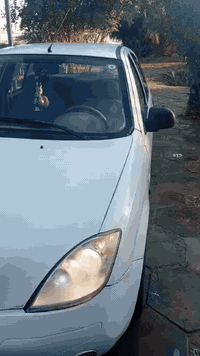 طيبه موديل 15 رقم ذيقار دولي.باسمي  المكان نجف. السعر 35  /   ***********
