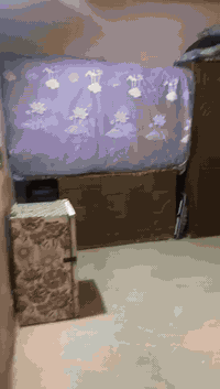 زعفرانية • طابو زراعي • ١٢٠م