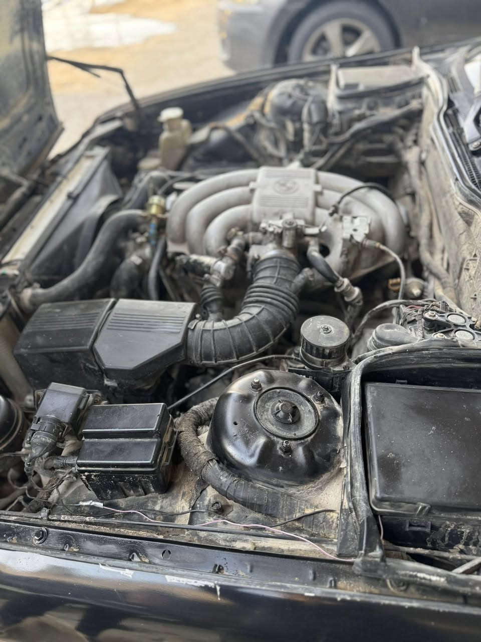 السلام عليكم شباب BMW525للبيع لون اسود رقم. امبار تريد تحويل تريد وكاله محرك كير مشروطات سستم صوت حداديه 60بلميه كهربائيات كلها شغاله بس الدشبول گيجاتا يلعبن لعب ما اعرف شنو المشكله فيت بم ضعيف داخل جلد نضافه 60 بلميه تايرات نضاف لايت زنون دمام بيها سماعات داخليه يمكن 16سماعه بين زغيره وجبيره مكانها النجف عسكري شارع السبيس سعرها35 وبيها للمعلومه السياره مو باسمي تريد وكاله تريد تحويل حاضرين ***********. ***********
