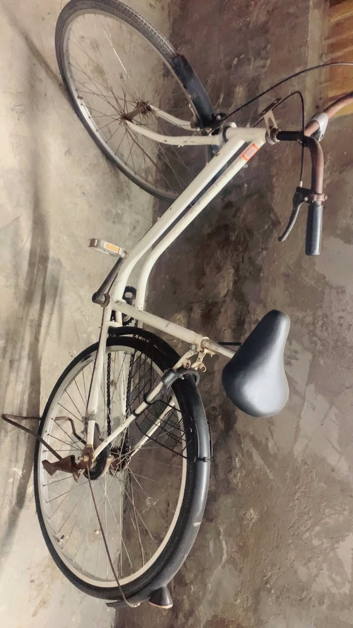 سلام عليكم عندي هاذا بناتي للبيع
قيم واخذة   
مكاني بغداد طوبجي


**إذا كنت صاحب هذا الإعلان وتريد حذفه لأي سبب، رجاءا أرسل رسالة إلى الدعم الفني**