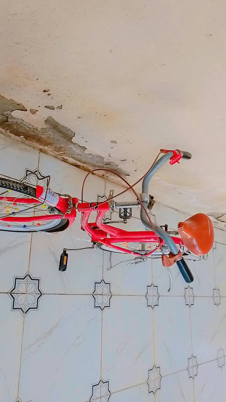 السلام عليكم باسكل ياباني حجم 27 بريكات أمامي خلفي شغال قفل وره شغال جاملغات كروم  باسكل نضيف  سعر 100 وبيه مجال  المكان ناصريه مركز


**إذا كنت صاحب هذا الإعلان وتريد حذفه لأي سبب، رجاءا أرسل رسالة إلى الدعم الفني**