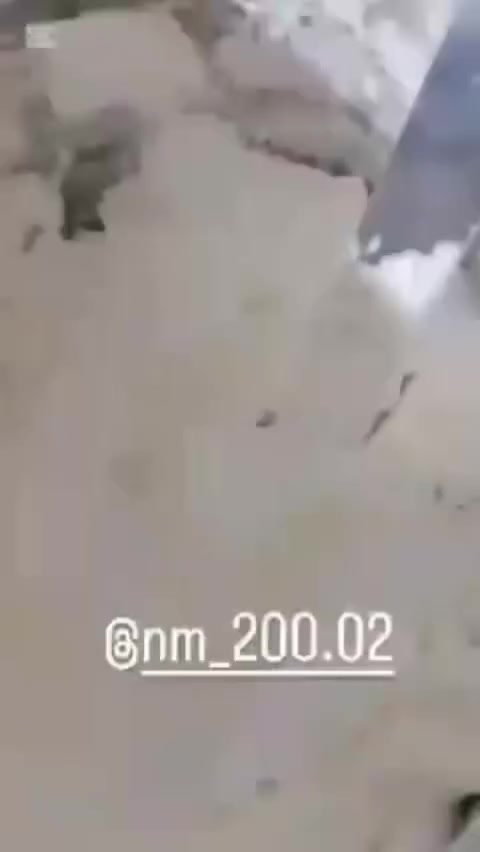 ✨ كيكات مميزة مصممة حسب طلبكم، من أبسط التفاصيل لأجمل المناسبات 🎂💖
كل كيكة أشتغلها بحب واهتمام حتى توصل مثل ما تتمنون 🌹

📩 للطلب والاستفسار راسلونا عالخاص توصيل رفاعي قلعه نصر 
📞 

#عليكم_التفكير_وعلينة_التنفيذ_ @الجميع @إشارة 
#كيك #كيك_عيد_ميلاد


**إذا كنت صاحب هذا الإعلان وتريد حذفه لأي سبب، رجاءا أرسل رسالة إلى الدعم الفني**