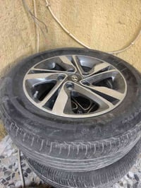 ويل كب • الالنترا • كربلاء