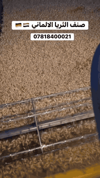 تعلن شركة السنابل الذهبيه عن وصول مغلفات صنف الثريا الألماني  •صنف عمر...