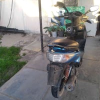 سكنس فحل • ضربه • زعفرانيه