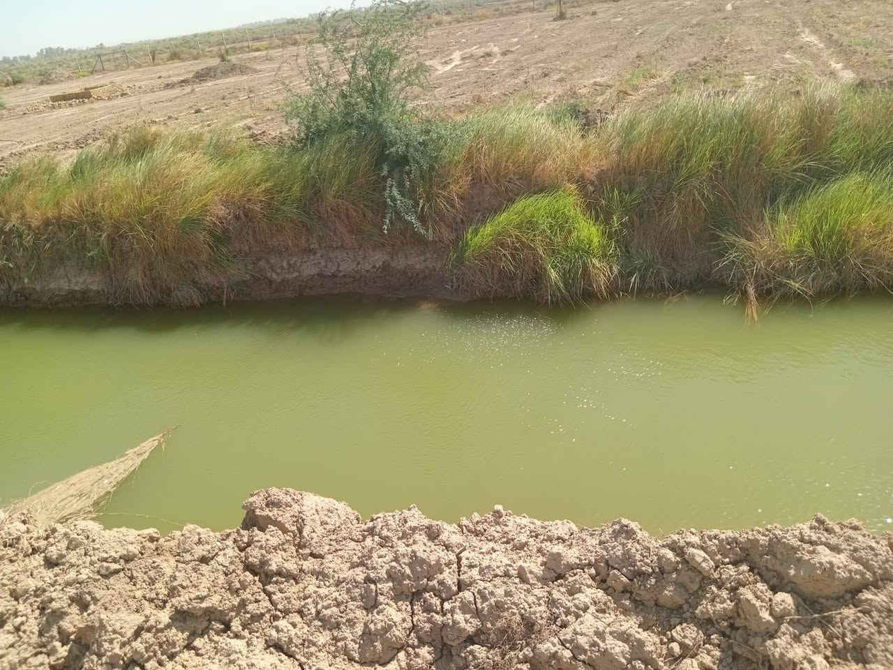 السلام عليكم .. ارض زراعيه ٢ دونم عقد ٣٥ مدفوع لمده ١٠ سنوات ماء وكهرباء بالباب نهر سقي ينتهي بيها خلف الميزان مقابيل المطور العقاري...تبعد ١٠٠ متر عن الشارع العام
 سعرها ٢٥ وبيها مجال للاستفسار ***********
