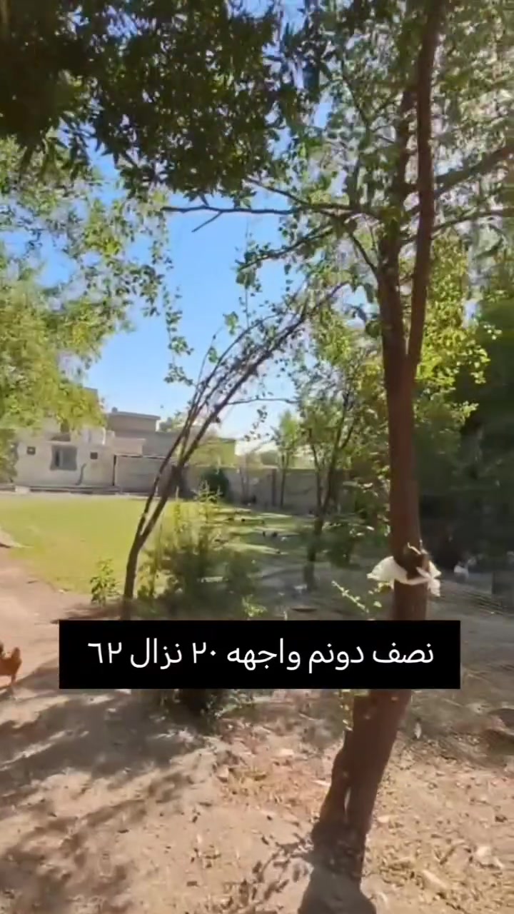 نصف دونم مع دار مساحته 250 متر للبيع في منطقة الكرغولية شارع أبو محلولة قرب شركة زيونة
محتوياته / طابق واحد
استقبال  كبيرة وصالة و٣ غرف نوم كبار ومطبخ حار ومطبخ بارد وحمامات ٢
مع مخزن
يوجد خطين مي
الاتصال بصاحب الرقم
حسين
***********
