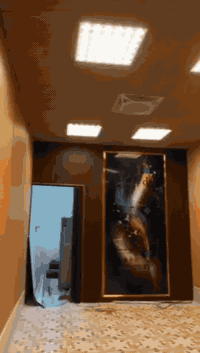 🎨 أعمال ديكورات واصباغ الصفاء  بأفضل المواد 

 ديكورات أسقف وجدران حديثة  نظافة وترتيب وأناقة 
 دهانات حديثة وكلاسيك أمانة ودقّة بالتنفيذ 

📞 للاستفسار: ‏‪***********‬‏ 
📍ذي قار قضاء النصر

مكتب المستقبل للعقار 👇👌
