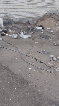 ١٠٠ متر للبيع بسمي سند ٢٥ بلمجمع الاول ذو الفقار ***********
