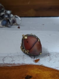 كربلاء • طويريج • للبيع