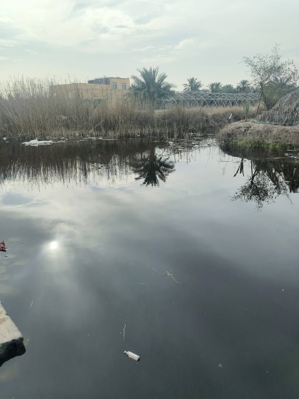 أسعد ألله أوقاتكم بكل خير ♦️
اللاستفسار ***********

توفرت أرض للبيع
ألمساحه ألكليه 1,300 متر
نصف دونم 

أرض مسيجه بل كامل
وتحتوي على مشتمل
مزروعه وعامره
على شط أبومقيره رئيسي

على شارع 12 م
توفر جميع الخدمات
ماء + كهرباء + مدارس كلش قريبه

نوع العقار : وقف سني أصولي

العنوان أبي الخصيب منطقت أبوكوصره 

سعر 85 وبيه مجال

اللاستفسار ***********
