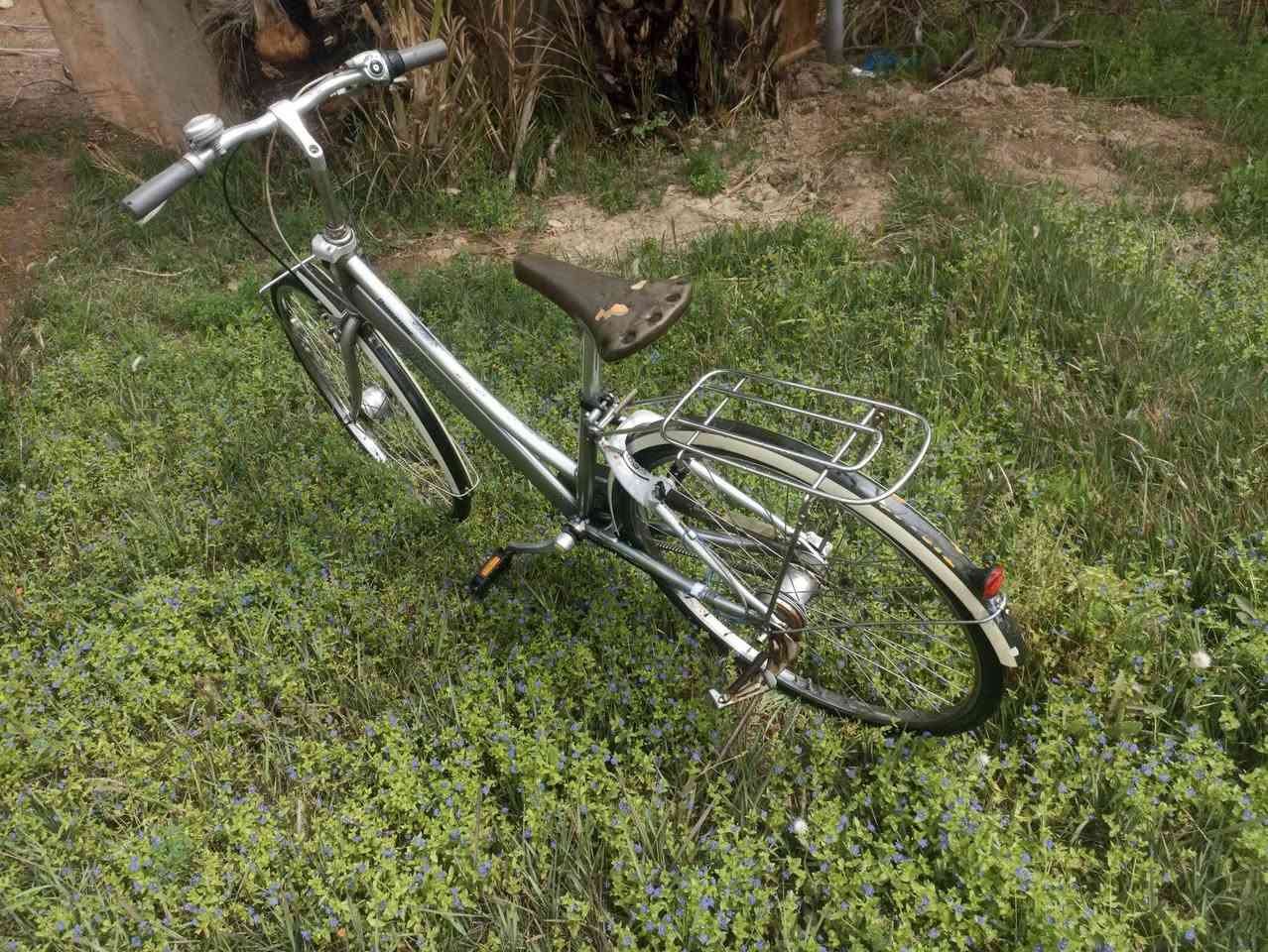 بايسكل بناتي للبيع حجم(27)بايسكل بدون قطره صبغ صبغ شركه ياباني حاويه بداله 3نمر منضومه قايش بريكات شغاله امامي وخلفي دينمو 23W قفل امامي وخلفي 

ومكاني ذي قار لغراف 
لرقم ***********واتساب
لسعر خاص
