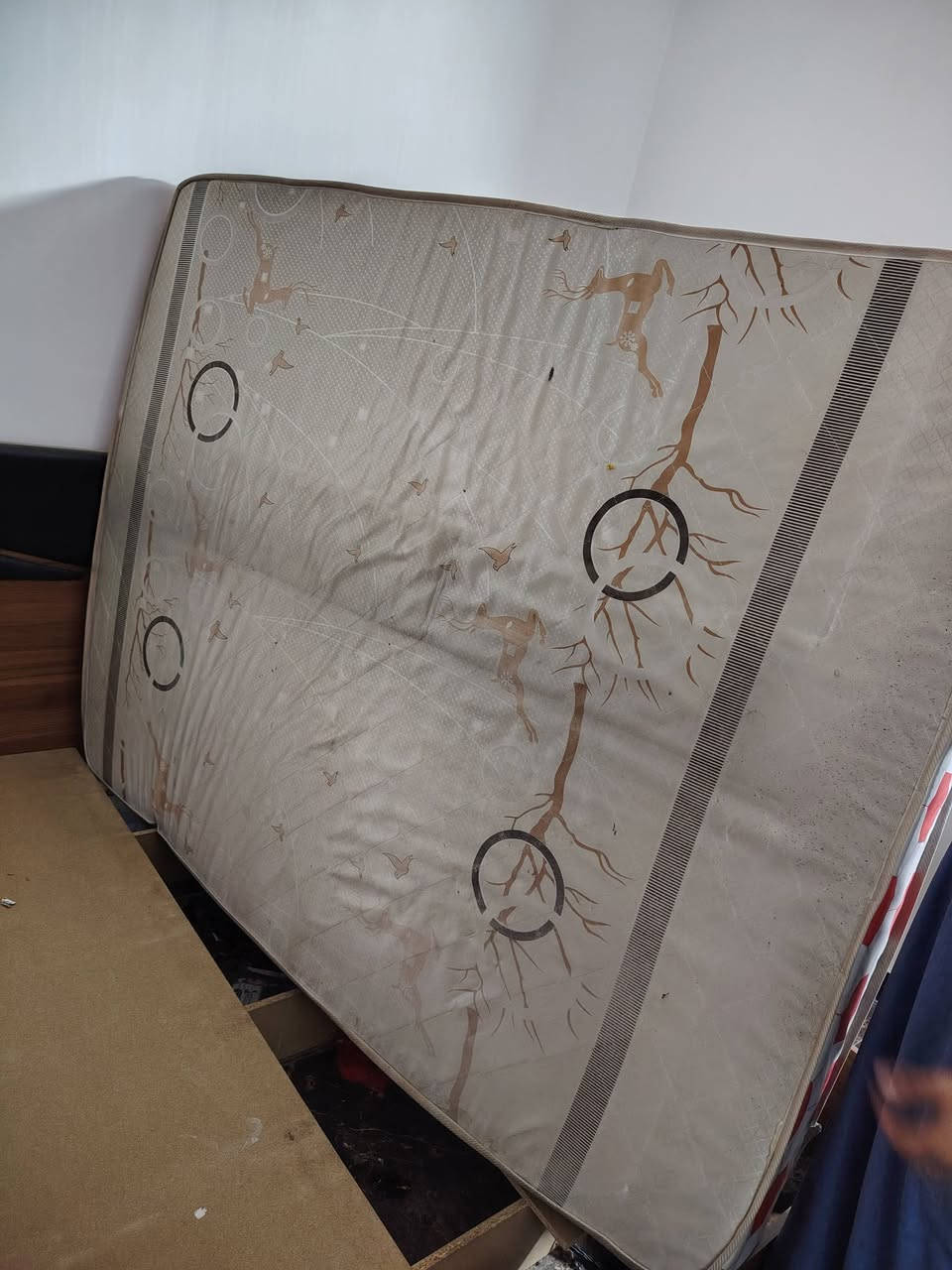 السلام عليكم غراض مستعمله نظيفه للبيع دوشك طبي نفرين كنتور طباخ وتلفزيون وصوبات كونفيره تواصل خاص مكان المحمودية حي السلام


**إذا كنت صاحب هذا الإعلان وتريد حذفه لأي سبب، رجاءا أرسل رسالة إلى الدعم الفني**