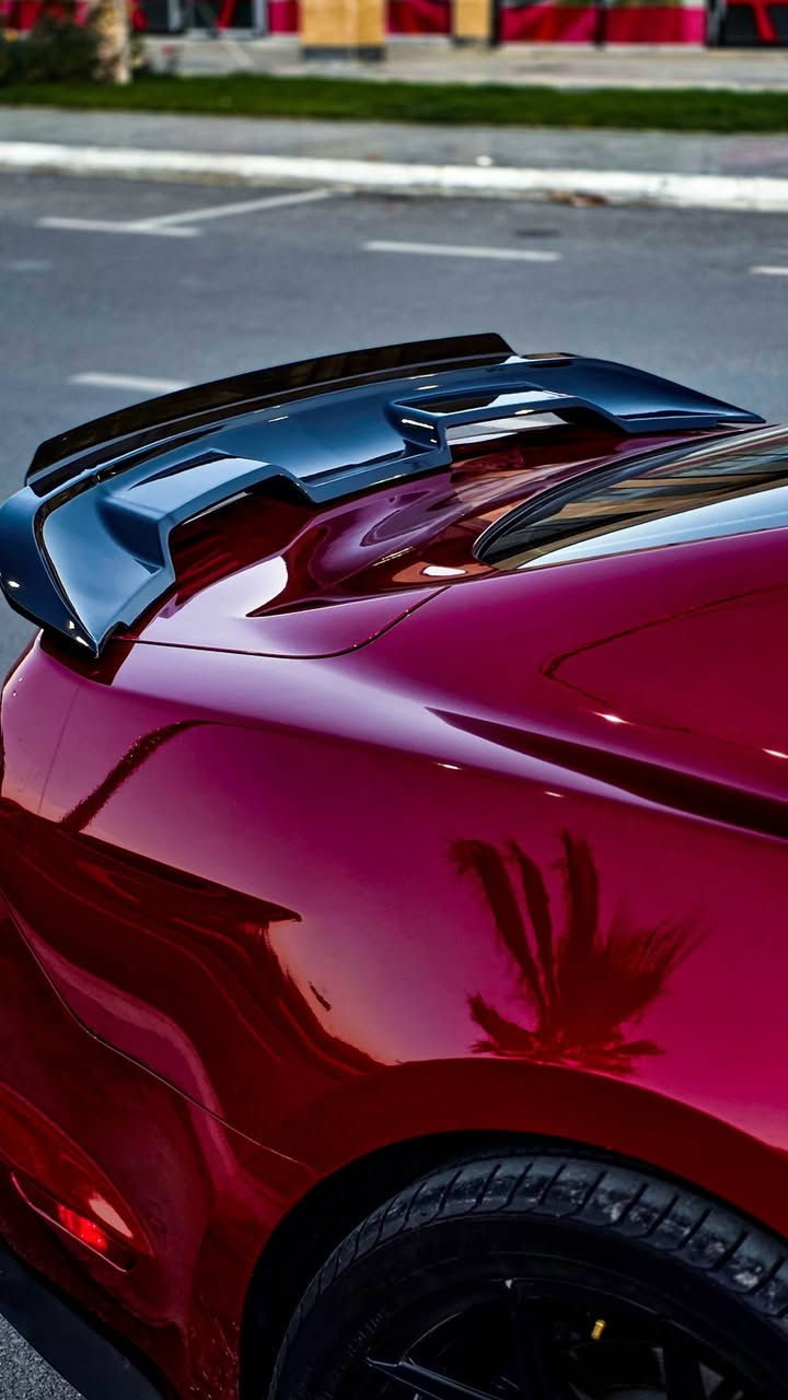 Ford mustang 2023 GT (10speed)
فورد موستنك ٢٠٢٣ جيتي

كير اوتو ١٠ نمر

لون كرزي

وارد كندي دخول جديد

عداد كيلومتر

ماشي ١٨ الف ميل (١٤ الف في كندا)

المواصفات:

رادار جانبي مرايا

تحديد مسار

كشنات كهرباء

لايت اوتو

بصمة

مودات (نورمال-سبوت-دراك-تراك-ثلج و مطر)

مودات ستيرن (نورمال-سبورت-كومفورت)

مودات الصالنصا (كاتم-نورمال-سبورت-دراك)

الإضافات و التزويدات:

عليها برمجة و تفريغ من كندا

ايج بايب ستيدا $300

دبات فلو ماستر $140

اكسل باك فلو ماستر $1300

صالنصا اكتيف سستم (يحتاج صيانة)

ويلات سبورت ٢٠ انج $550

لايتات ٢٠٢٤ $300

دعامية ماك ١ $300

سبويلر شيلبي $60

دفيوزر شيلبي $60

السبويلر و الدفيوزر البلادي لازال عندي

صوت السيارة عالي و حلو جداً

1FA6P8CF7P5305423
السيارة حادثها جانبي جدا بسيط بيها قطعتين و نص صبغ (باب السائق مبدل بلادي و مصبوغ+الجاملغ الأمامي+نص الجاملغ الخلفي)

بدون شاصي و دواخل بشرط

و ثلاث قطع بس رش من كندا

ارباك  بس دركة السائق طاك و مبدل بلادي

السيارة ما بيها أي نقص و السيرفسات كلهم منجز في وقته بأفضل مواد و حطيت بيه فقط بنزين سوبر

سنوي و هزة جديدة بأسمي تحويل ثاني يوم

٢٤٨ و مجال

السيارة في السليمانية

*********** whatsapp/viber
