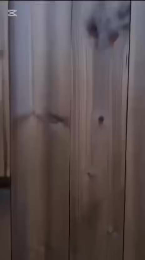 مزرعه للبيع دونم ونص الواجهه ٣٠ نزال ١١٦ بيها حدايق ثنين اماميه وخلفيه وبيت مساحه ١٧٦ متر غرفتين نوم ومسبح كبير الدوره على سده مباشر ركن 
سند ٢٥ 
للاتصال ***********
