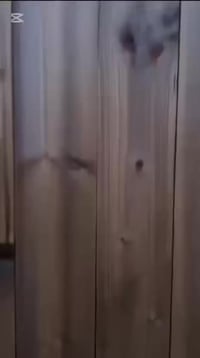 الدوره على سده • ٣٧٥٠م • مسبح كبير