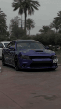 جارجر دايتونا خليجي 2019
سعر 280$ وبيها مجال
وكالة ليث العبيدي 
رقم بغداد الجديد هزه جديده تحويل ثاني يوم فئة السيارة دايتونا اصل 
السيارة فول عدا الرادار
بصمتين
محرك 6400
انارة داخلية سستم كامل 
سلايد روف
كشن حضن كهرباء السائق و الراكب تبريد مقاعد امامية + تدفئة
المقاعد الخلفية تدفئة فقط
مراية جانبيه هيترات + قلاب عند الرجوع للخلف لون مميز بنفسجي وكلش قليلات بهذا اللون بهل فئة السيارة مسستمة كاربون فايبر
شوتة رياضي بلادي
بريكات برمبو
ماشية 53 الف 
عقل مفتوح
اويل كاج كان
برمجه سيفتي 
وبيها بارد فقط بل جاملغ الامامي جهة الراكب 
وصبغ بل دعاميه من نفس الجانب جهة الراكب  
وبيها رصعة جاملغ خلفي ورصعة جاملغ سايق ( رصعات جداً خفيفه)غير شيء ماكو (مكفولة من اي تبديل او معجون او صبغ وما داخلة اي استعراضات او سباقات نهائيا ) وضحت كلشي رجاءً لحد يقارنها بل وارد امريكي الي بيه انواع الحوادث مكان السيارة بغداد حي الجامعة
*********** / واتس او خط
