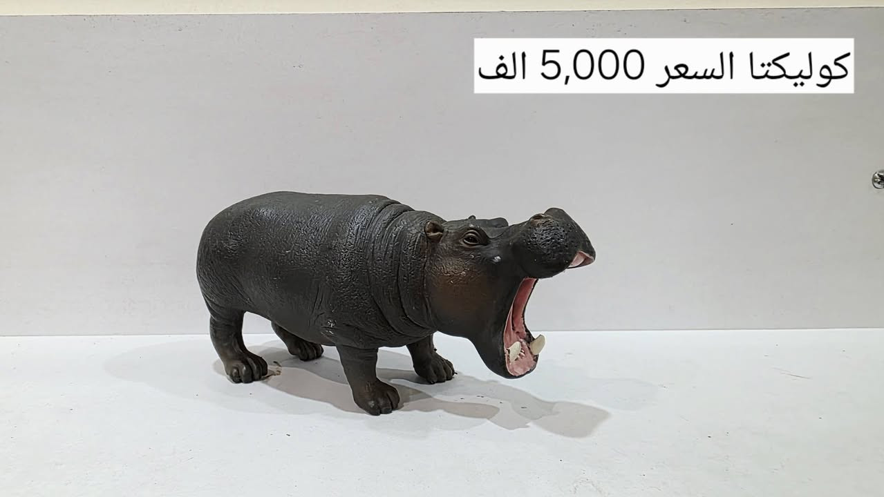 السلام عليكم
مجموهة حيوانات شلايش للبيع
كل قطعة موجود سعرها على الصوره
موجود توصيل بغداد فقط
للحجز المراسله على الواتساب ***********
