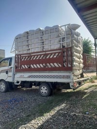 تبن حنطه • ام 55 • درجه اولى