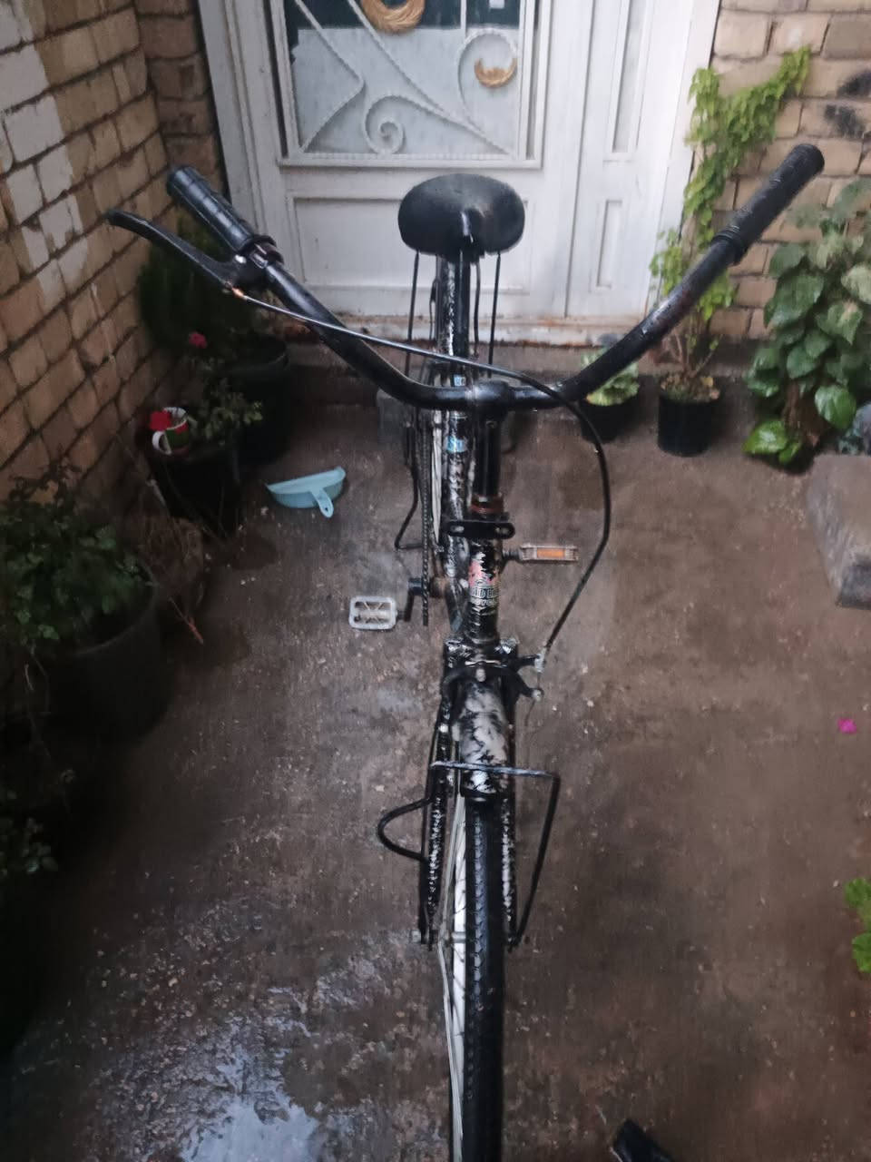 سلام عليكم باسكل البيع بكربلاء فول نضافه اي عطل مابي تفحصه وتاخذه مكاني، كربلاء حي العباس رقمي بي وتساب *********** قفله 50شراي يراسلني
