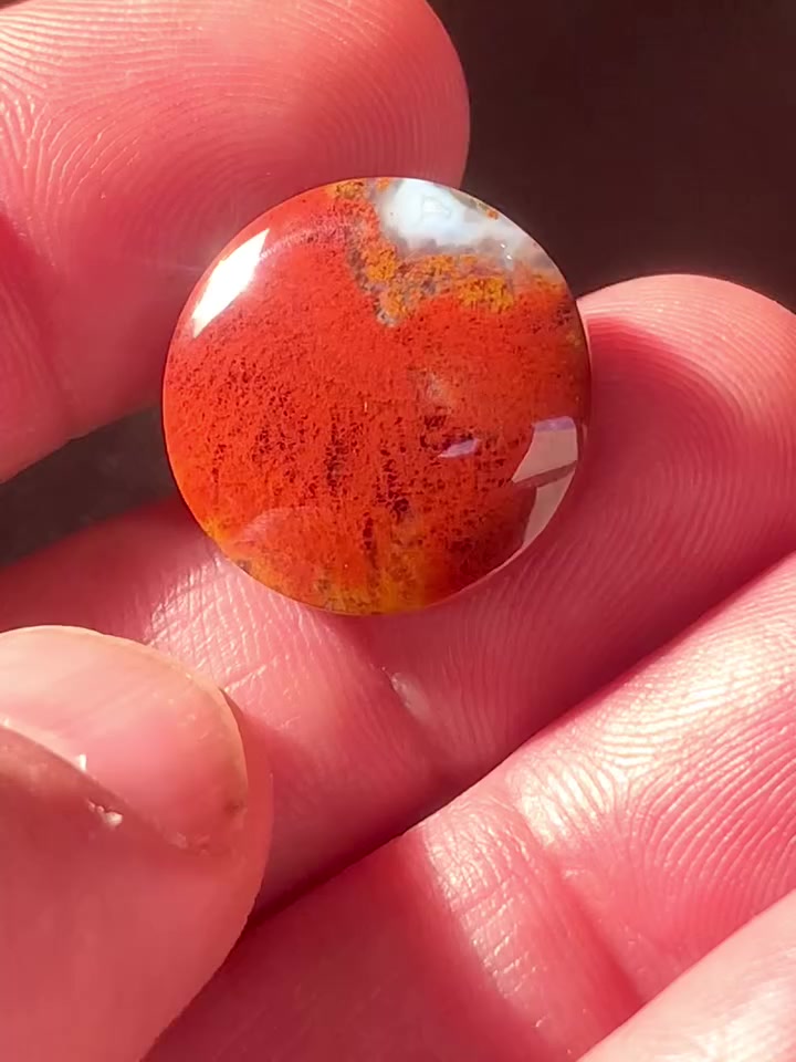 شجرية طحلبية حمرة روعة .. السعر مناسب


**إذا كنت صاحب هذا الإعلان وتريد حذفه لأي سبب، رجاءا أرسل رسالة إلى الدعم الفني**