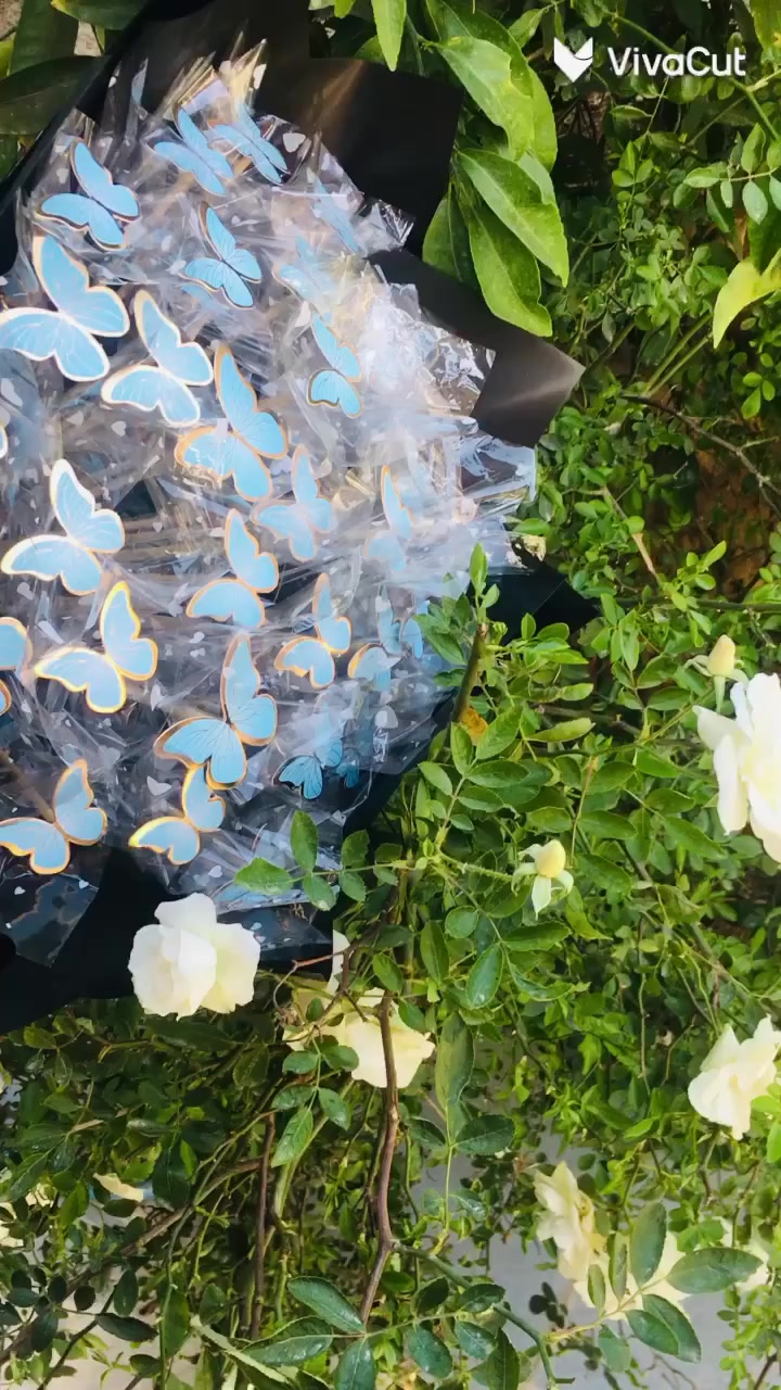 بوكيات حسب طلب 

يوجد لدينا خدمة توصيل الى جميع محافظات العراق 🇮🇶 

لحجز واستفسار مراسله الصفحه 

أسعار تنافسية ومناسبه كلش 

هاذه جمال كله بس 8 الف


**إذا كنت صاحب هذا الإعلان وتريد حذفه لأي سبب، رجاءا أرسل رسالة إلى الدعم الفني**