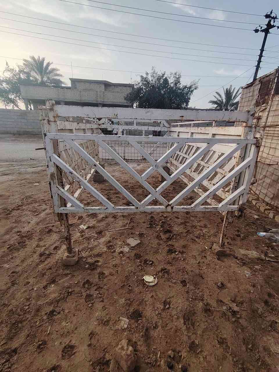 محجر  البيع المكان واسط السعر 350وبي مجال حك الجيه ***********
