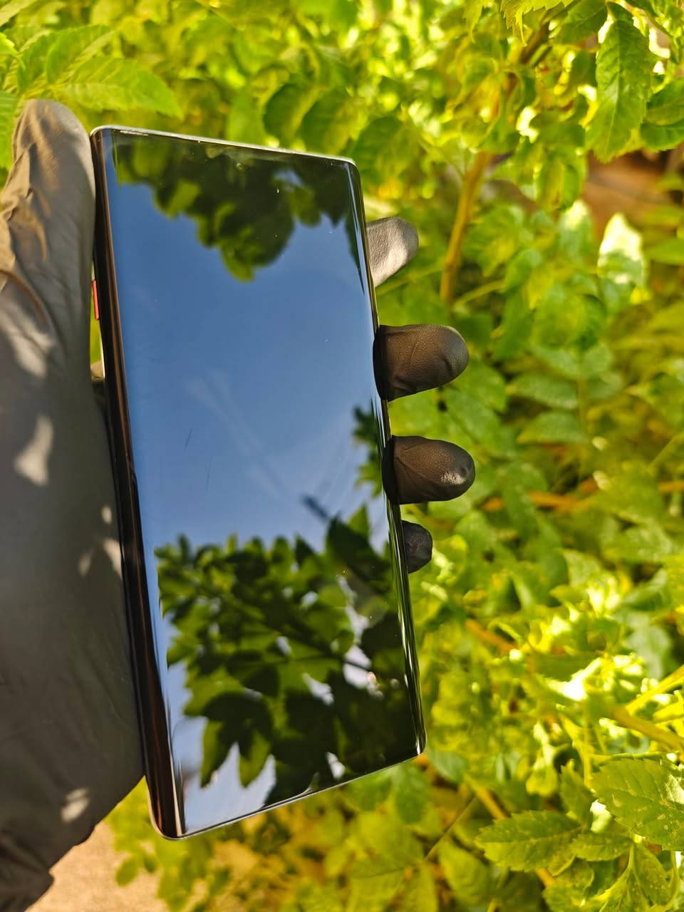تكنو كامون 40 برو 5g
مستخدم نظيف جدا للبيع
256 /8+8
ملحقاته كاملة و وياه 4 كفرات هدية.
فقط زر خفض الصوت واگع وتكدر تستغني عنه مثل ما موضح بالفيديو او تريد تسوي يم اي ابو صيانه شغلته بسيطة
السعر 275 وبي بي مجال 
الموقع حلة
اللي مهتم يراسلني ويؤمر امر


**إذا كنت صاحب هذا الإعلان وتريد حذفه لأي سبب، رجاءا أرسل رسالة إلى الدعم الفني**