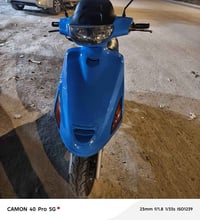 فراشه فحل • دسك • سلف وهندر