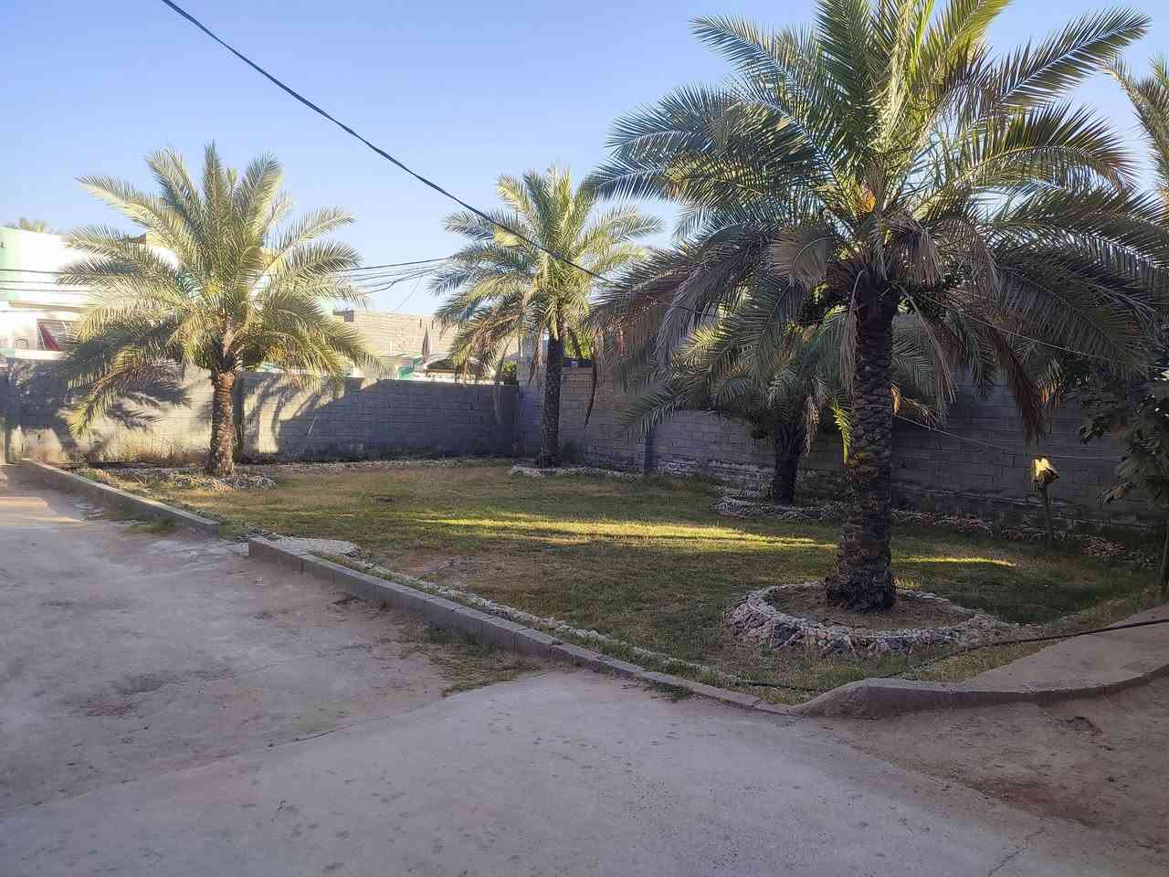 السلام عليكم عندي قطعه ارض للبيع مساحتها 740 متر سند 25 بأسمي سهم قرار محكمة طريق بغداد عامود 60 داخل الفرع منطقة العميسيه مع دار مساحته 170 حديث البناء تنزيل مسافة تقريبا 500 متر عن الشارع العام  باقي التفاصيل اتصال على رقم الهاتف *********** بيه وات ساب ,,#
