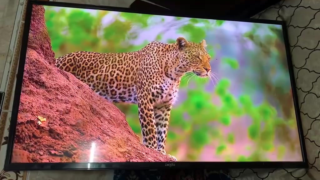 السلام عليكم بلازمه ديكو بيهه نت نته قديم بس يشغل يوتيوب سعرها 120بيهه مجال حجمه 42


**إذا كنت صاحب هذا الإعلان وتريد حذفه لأي سبب، رجاءا أرسل رسالة إلى الدعم الفني**