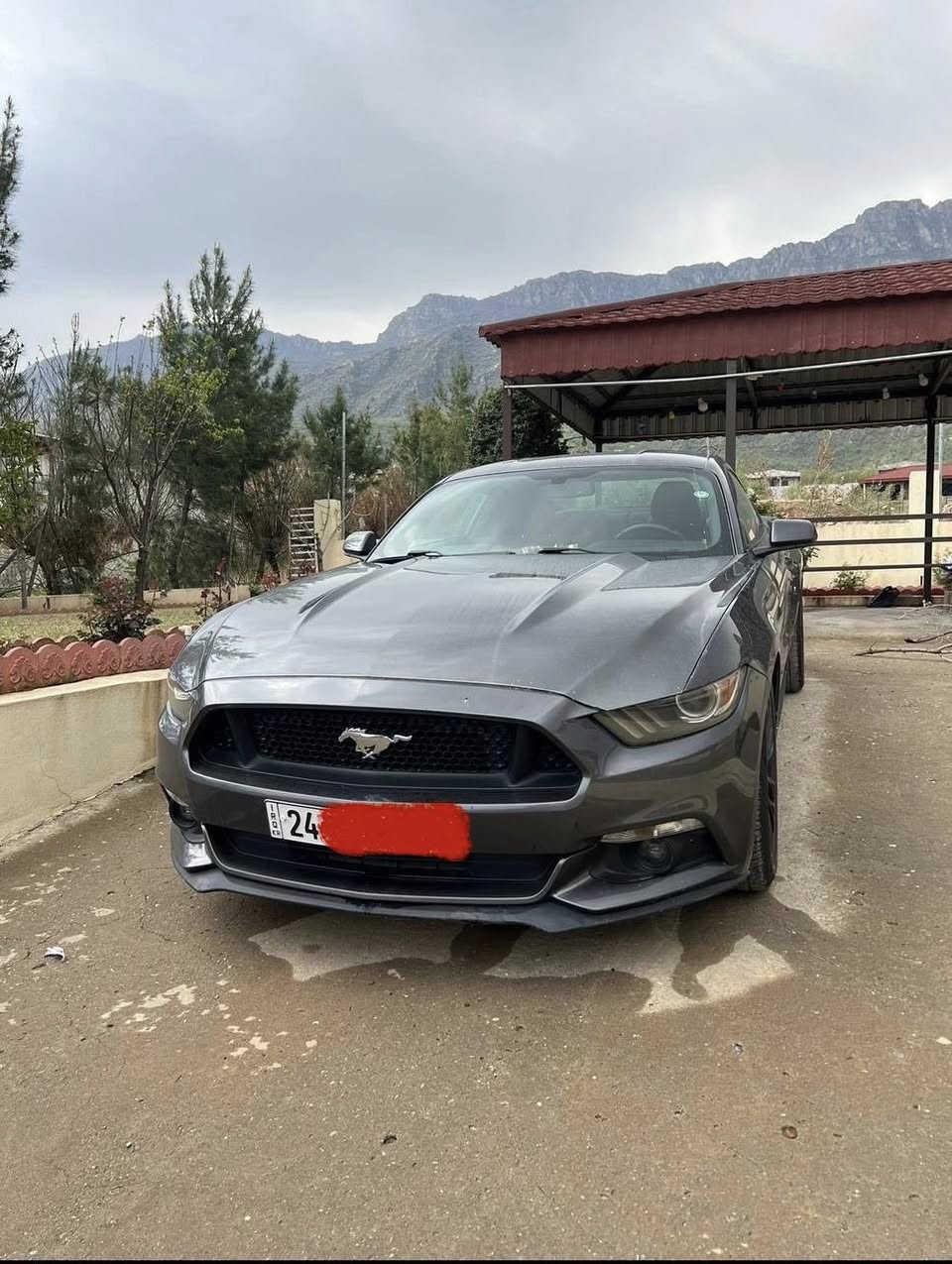 السلام عليكم
للبيع موستنك موديل ٢٠١٧ مكينة 4 سلندر ايكو بوست 
سيارة نظيفة وبدون نقوصات
حادث جانبي ( جاملغ امامي + نص جاملغ خلفي + ربع بنيد ) بدون دواخل وبدون ايرباك صور الحادث بالمنشور ( كير ومكينة وكهربائيات مكفوله )
رقم دهوك جديد تحويل بشرط 
سعر ١٣٠
مكان السيارة اربيل

***********
